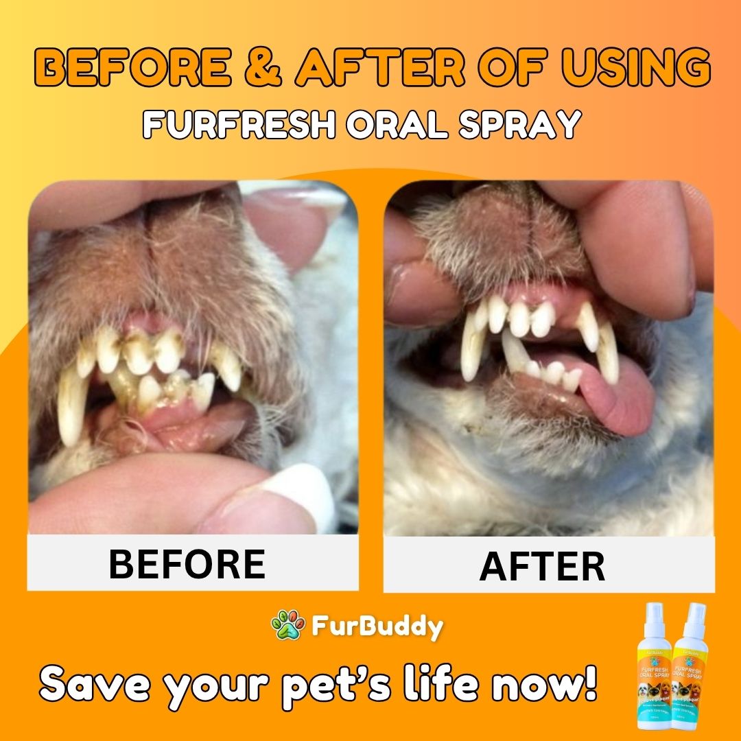 Furfresh Oral Spray